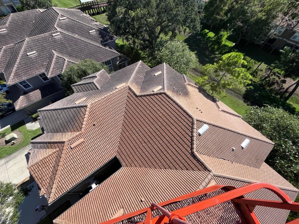 roof 3